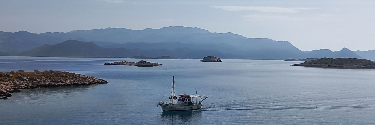 🐱🐈‍⬛Carpe Diem🐱🐈 banner