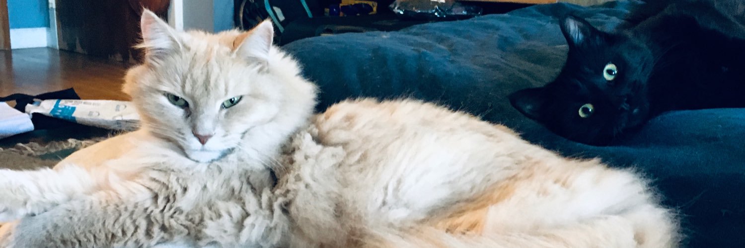 abominablesnowman banner