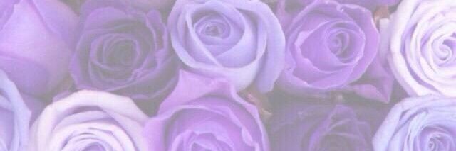 tag__reia's profile banner image
