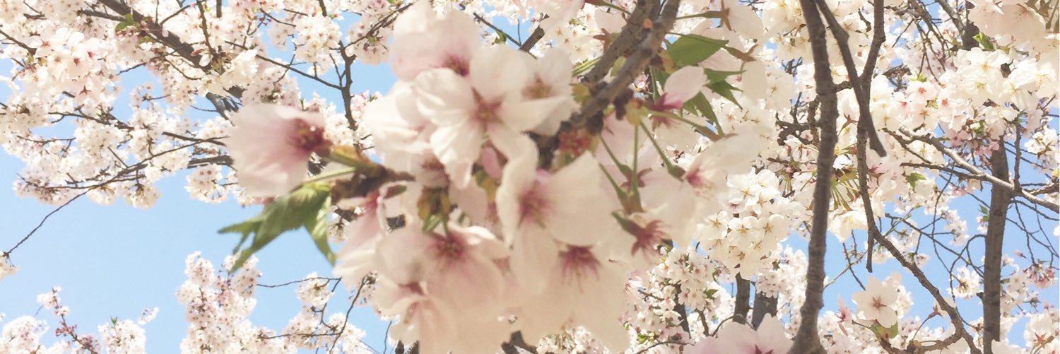 natsuko929's profile banner image