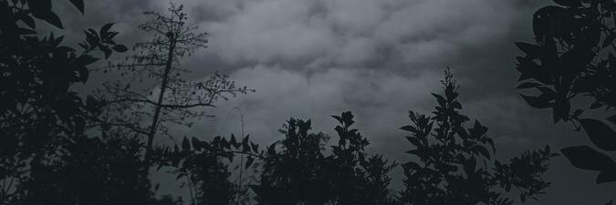 psqccca21's profile banner image