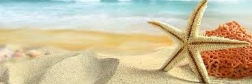 BeachyTeacher's profile banner image