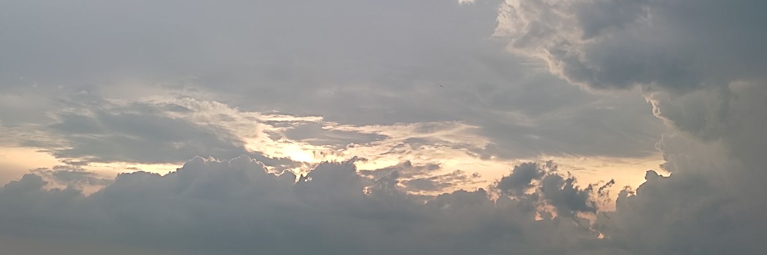 ritikaaaaaaaa's profile banner image
