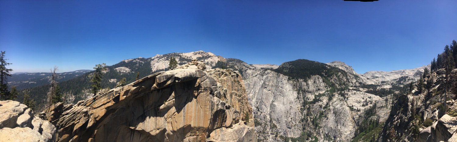 Sharon Traiberman banner