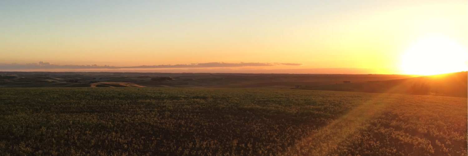 NolanHoiness's profile banner image