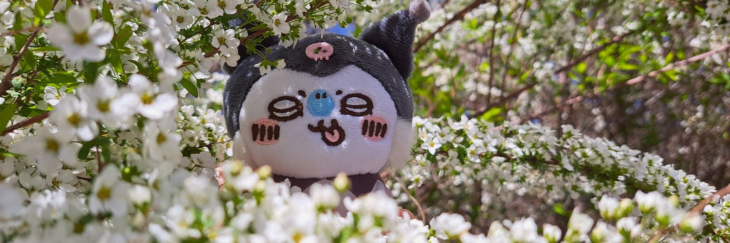KOTO_animal's profile banner image