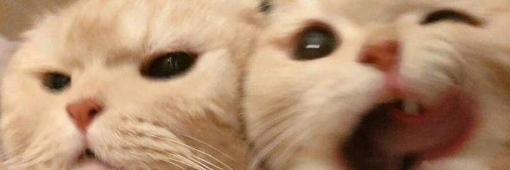 ceemezano's profile banner image