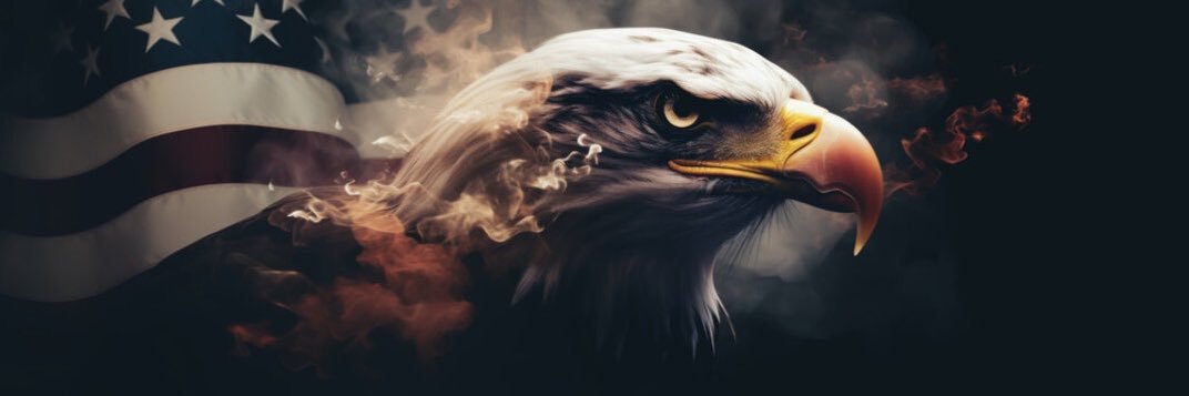 resist_msm's profile banner image