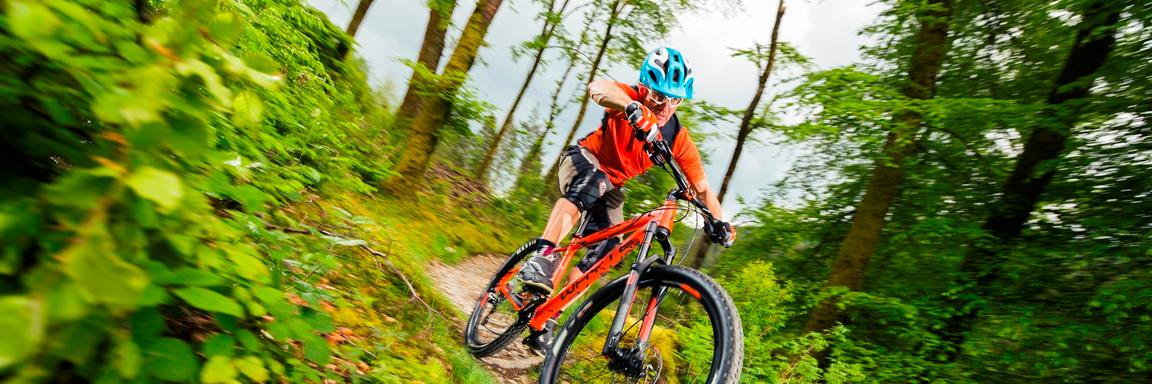 InfoPedals's profile banner image