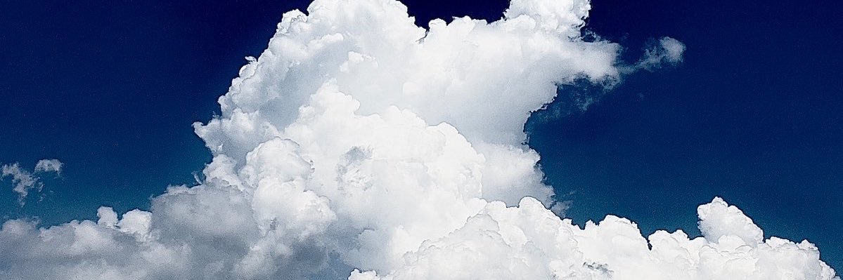 hywoid 🍇🏝️ banner