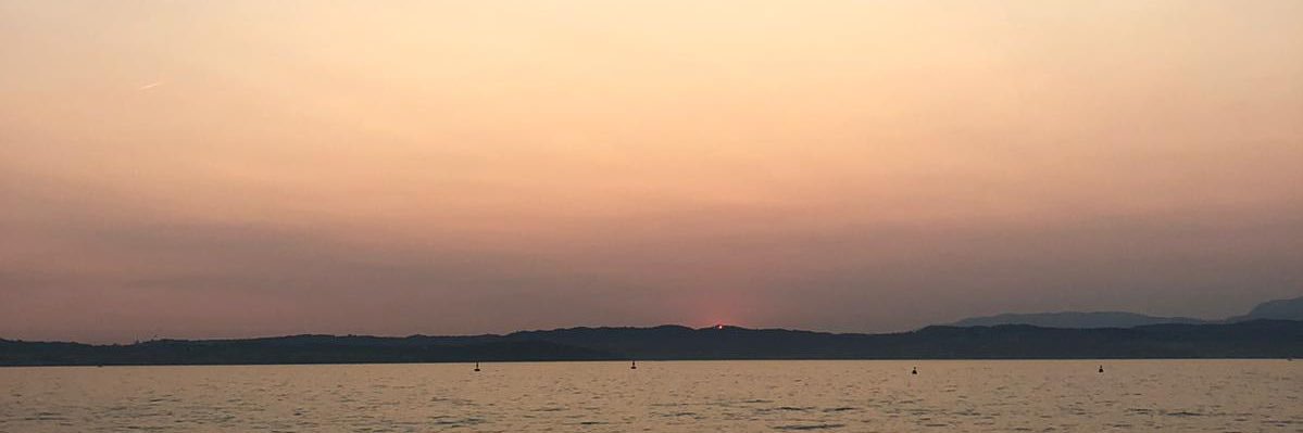 quellaacida_'s profile banner image