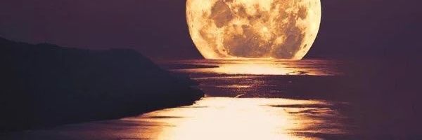 hurreym's profile banner image