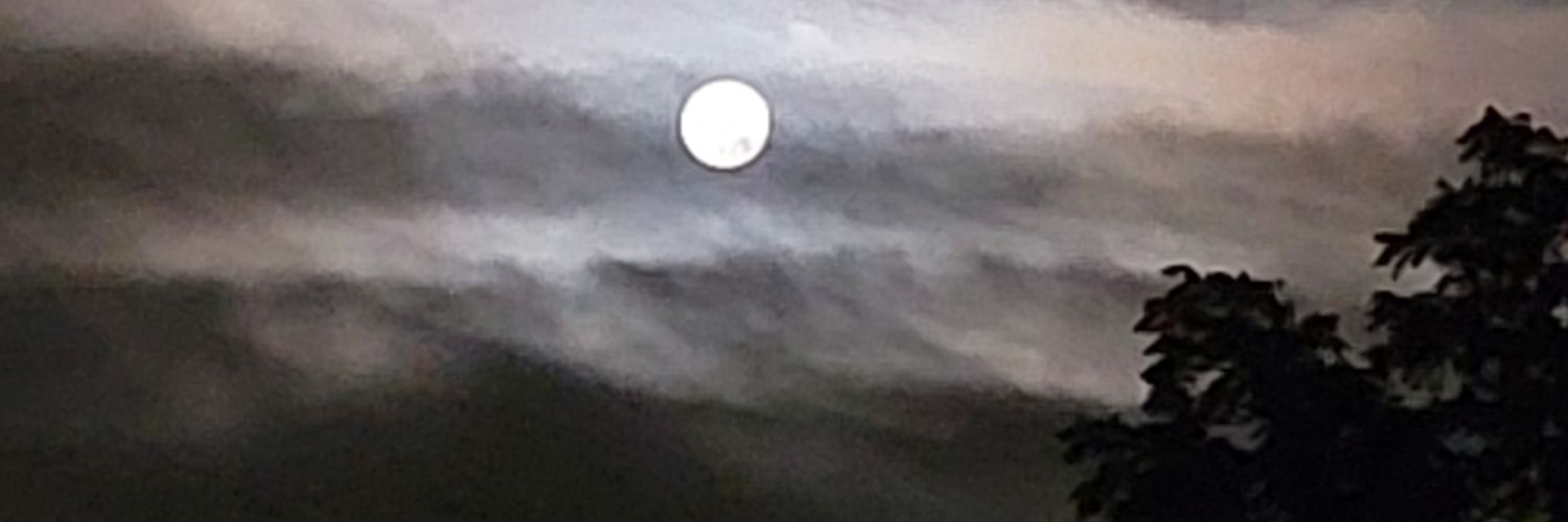 Reeso banner