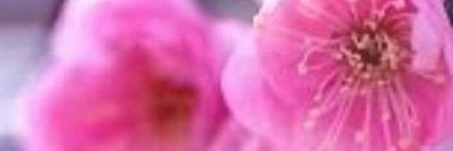g________123's profile banner image