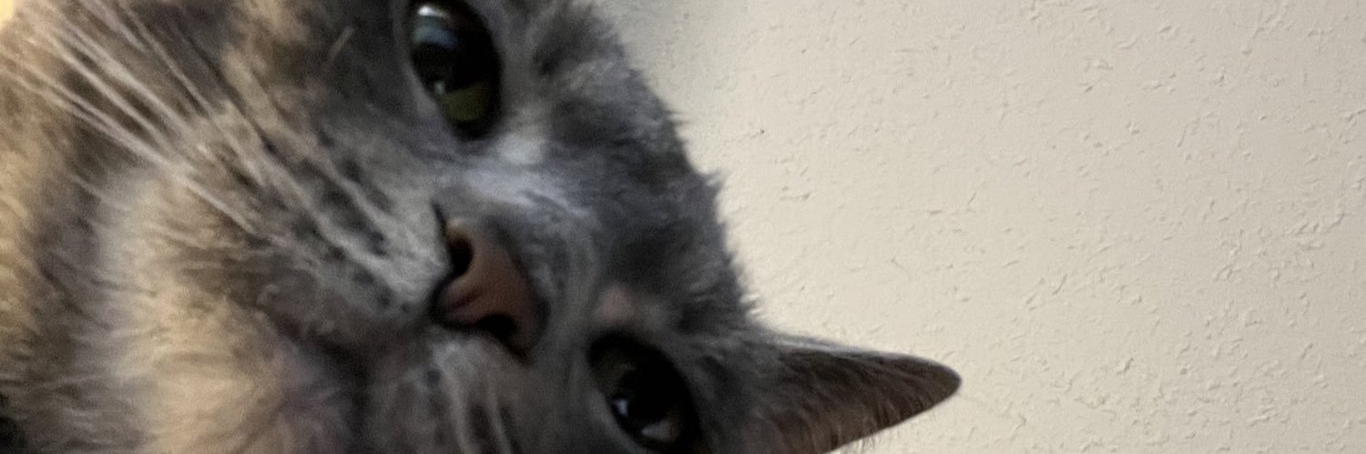 TayEads's profile banner image