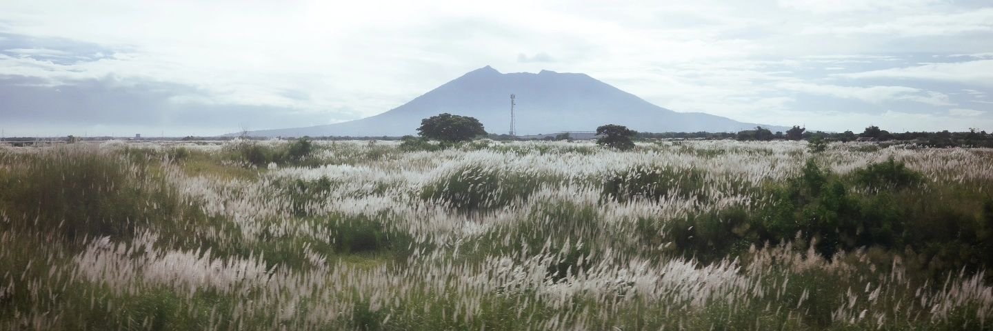 what can't she do? banner