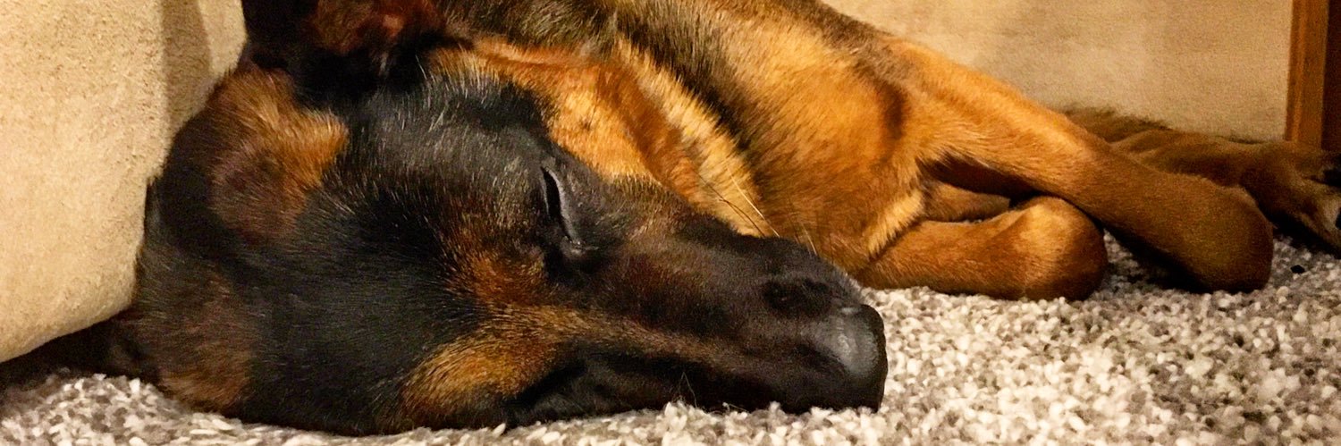 Lorne Gardner banner