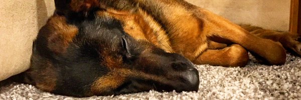 ThatGuy72 Profile Banner