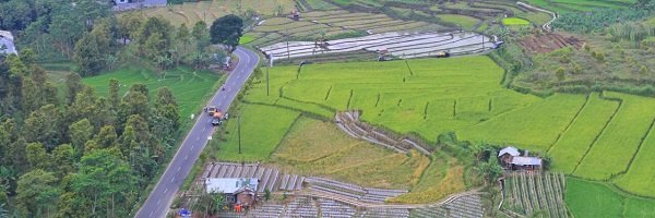 kabarpemalangID Profile Banner
