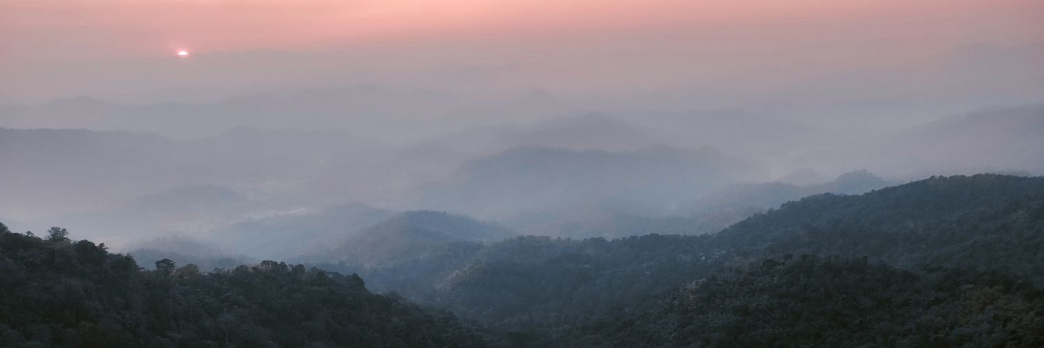 T_monfff's profile banner image