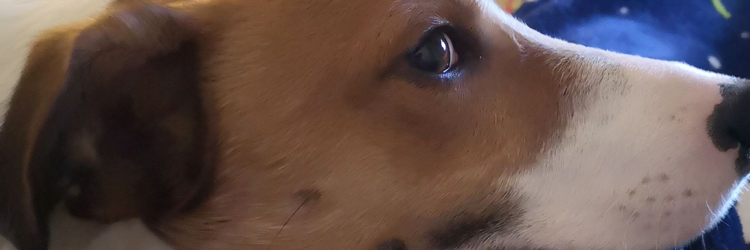 Chelmay2's profile banner image