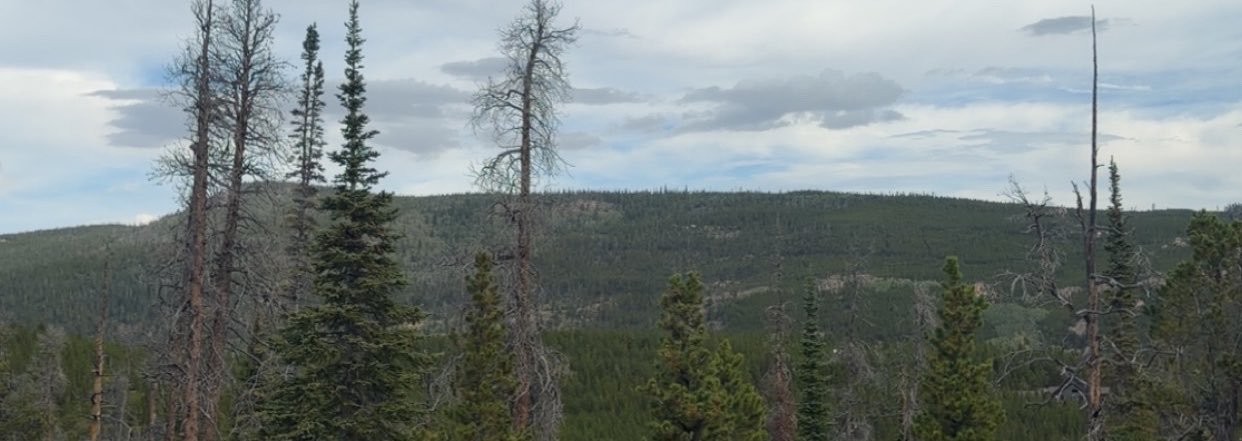 kayleyytaylor's profile banner image
