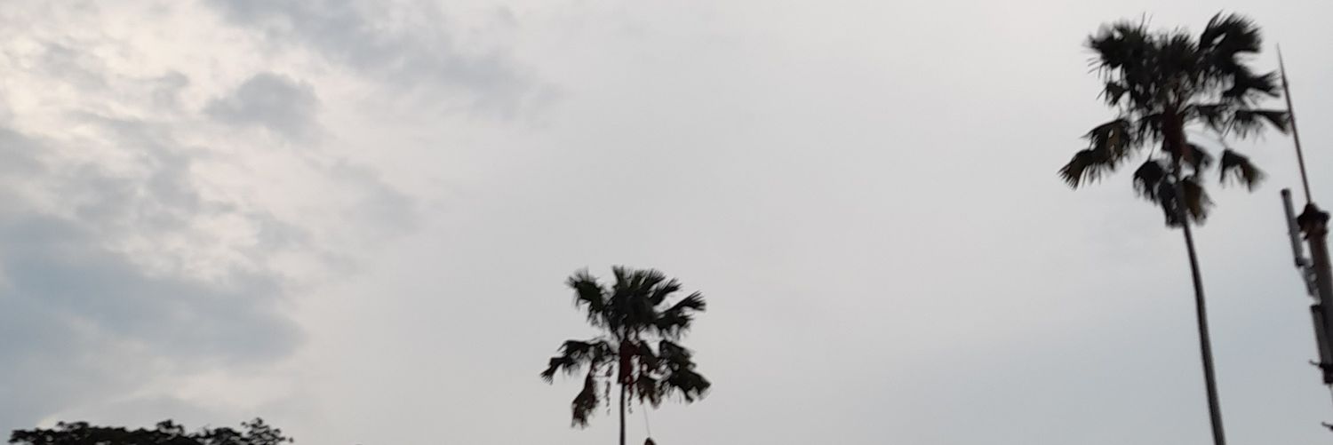 maamiimoo_'s profile banner image