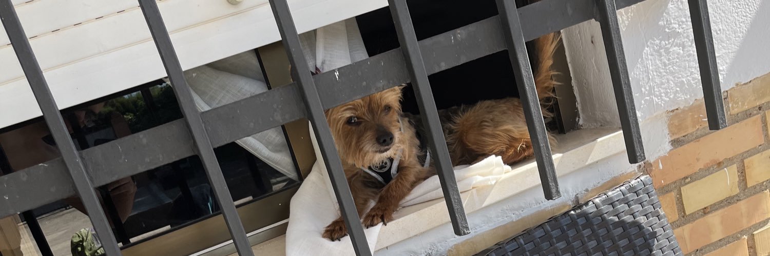 Juan Carlos 💙🇪🇦 banner