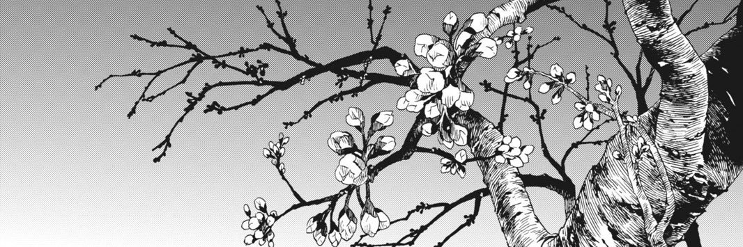 zeninxo's profile banner image