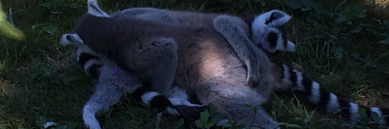 jujuices's profile banner image