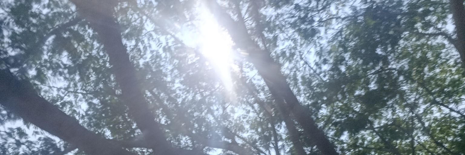 AlmendraMurM's profile banner image