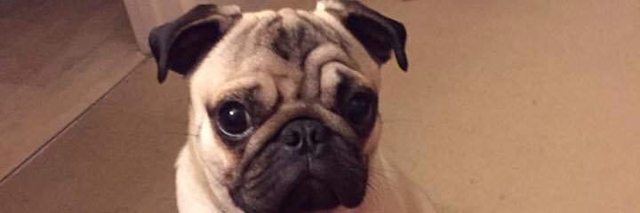 Korry27's profile banner image