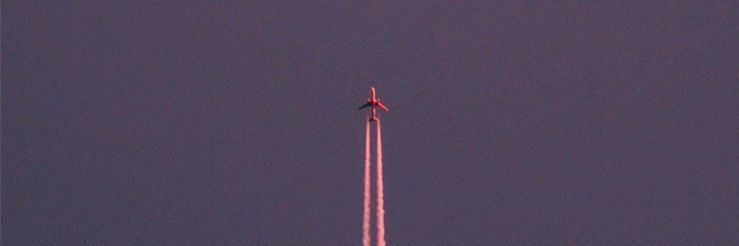 Laura Mae Rees banner