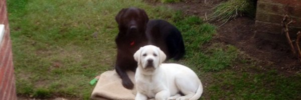 amwbooks Profile Banner