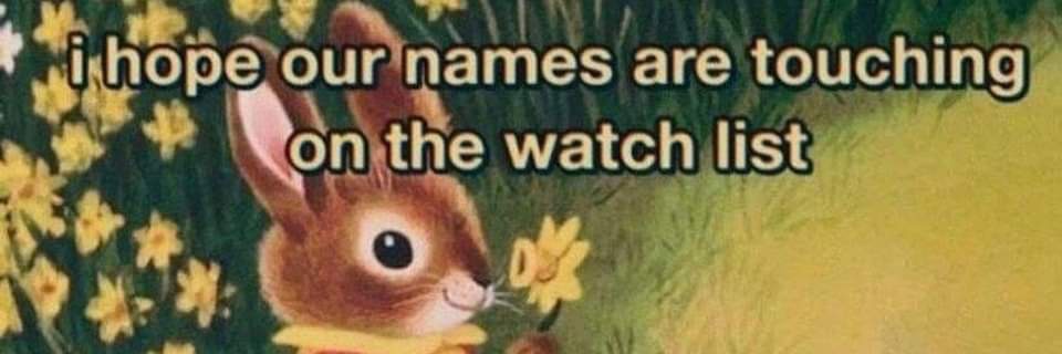 🟣 Merav מירב ميراف banner