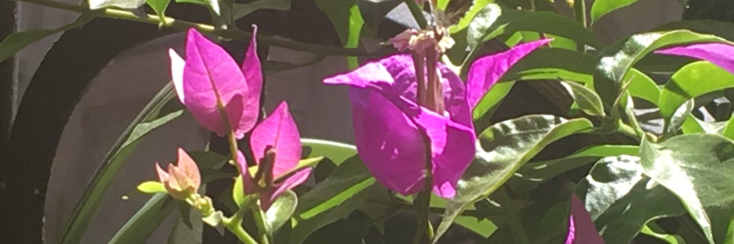 VictoriaPere1's profile banner image