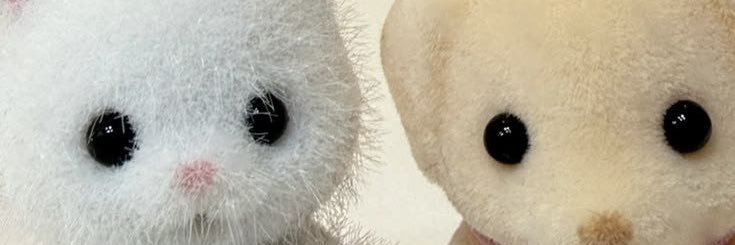 SubinsRoll's profile banner image
