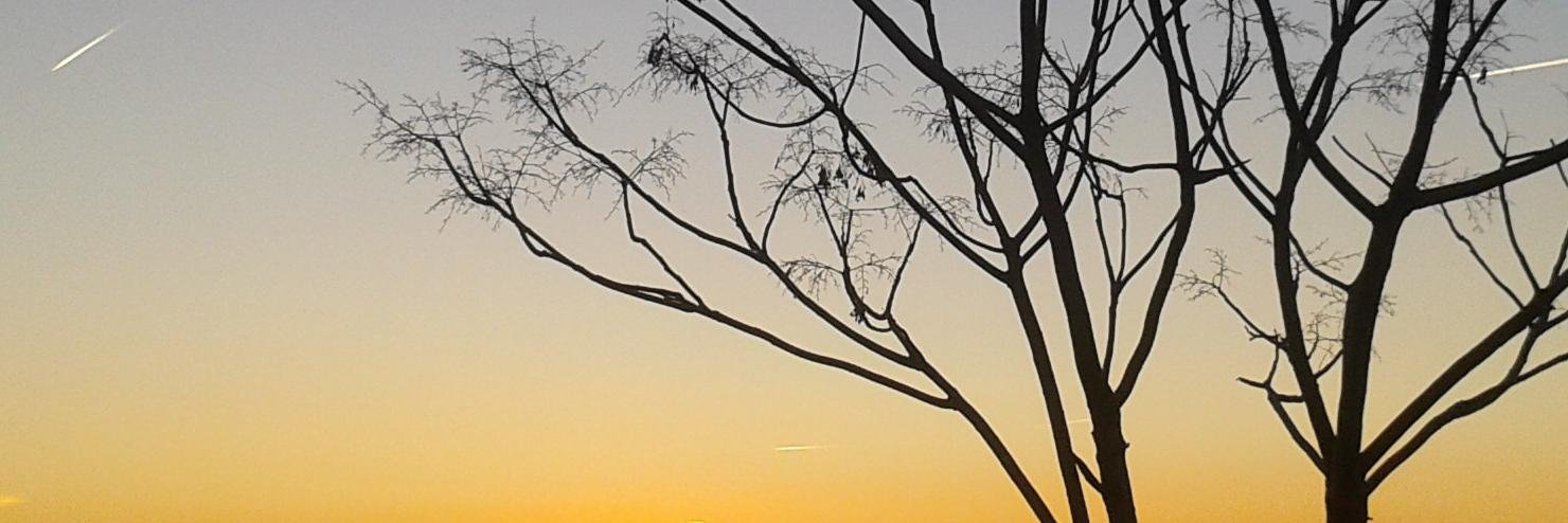 MaRGaFLoS's profile banner image