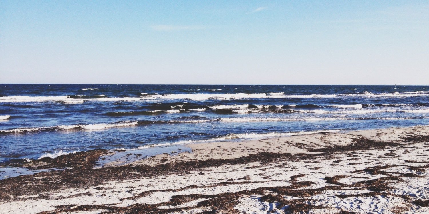 LauraWaage's profile banner image