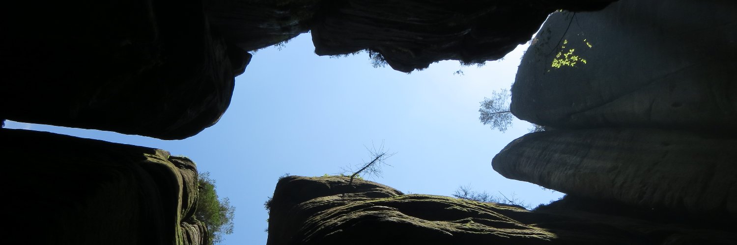 Felix Thuringia banner