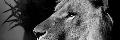 K_lechela's profile banner image