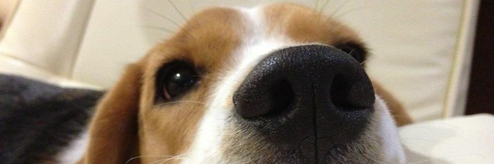 poatheman's profile banner image
