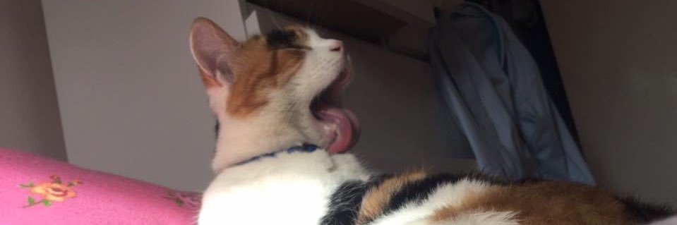 jasminemethven's profile banner image