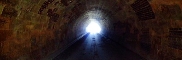 ThMav Profile Banner