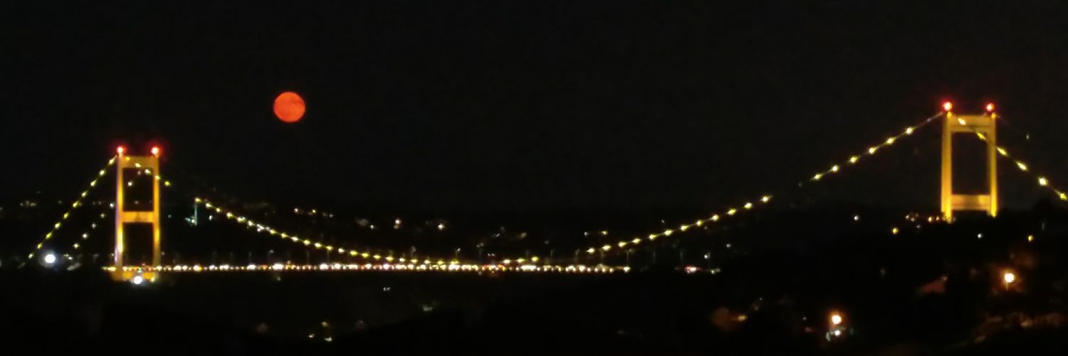 rayildizz's profile banner image