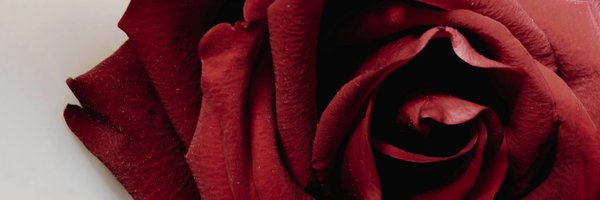 ACiDVM Profile Banner