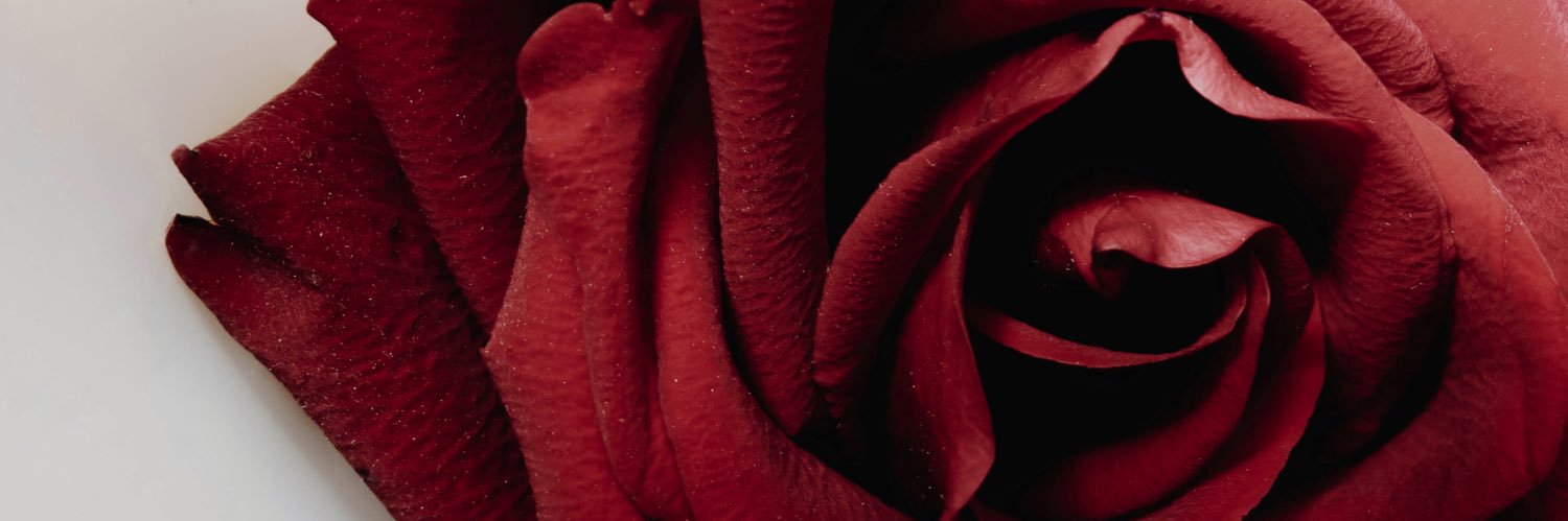 Dr. Cid Brent Aurelio banner