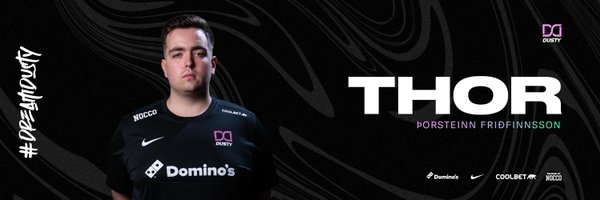 th0rsteinnf Profile Banner