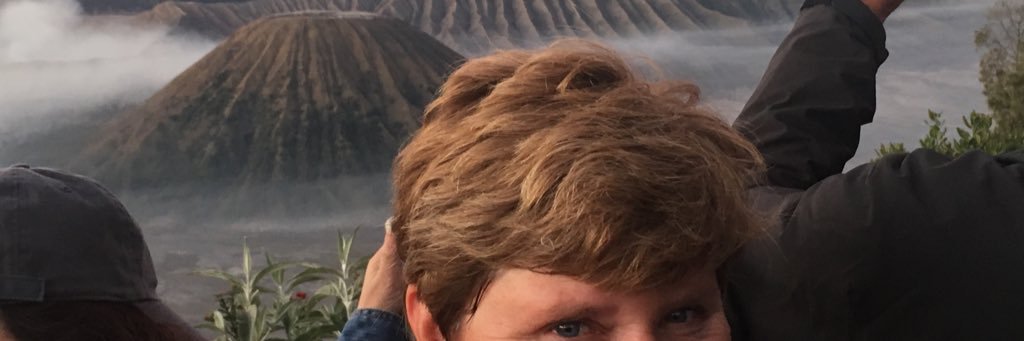 petraisken's profile banner image