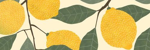 farmcasale's profile banner image